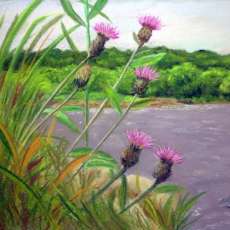 Thistles of the Bank