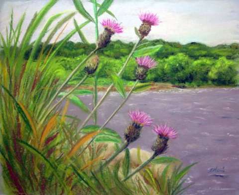 Thistles of the Bank