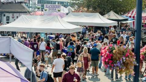 Bremerton Blackberry Festival