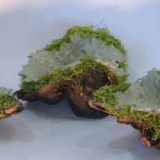 Mixed Clay/Wood Dishes