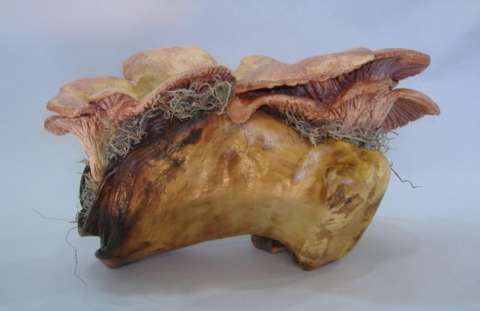 Mixed Clay/Wood Mushroom Dish
