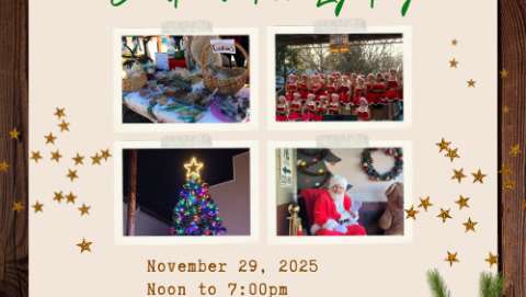 Country Christmas Tree Lighting