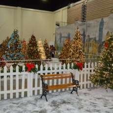 Festival of Trees