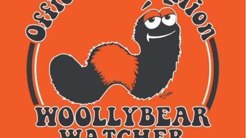 Woollybear Festival