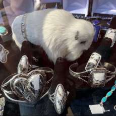 White Buffalo Turquoise