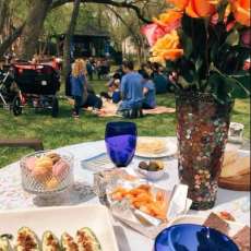 Dogwood Concerts in the Oxbow Hollow