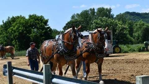 Houston Hoedown Days Craft & Flea Market