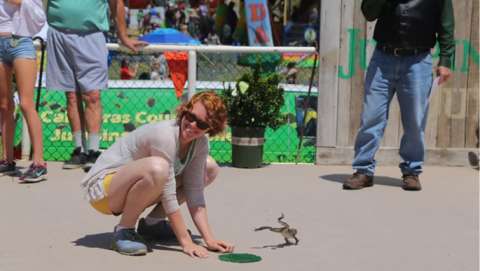 Calaveras County Fair and Jumping Frog Jubilee