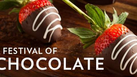International Chocolate Festival