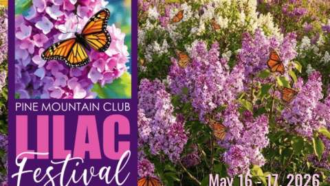 Pine Mountain Club Lilac Festival