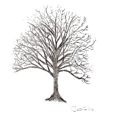 Tree of hope
