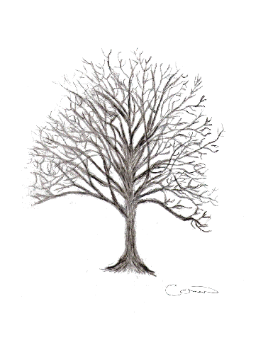 Tree of hope