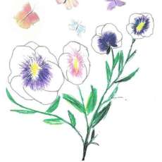 Pansies with butterflys