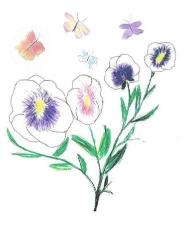 Pansies with butterflys