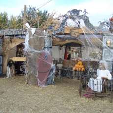 Halloween Display