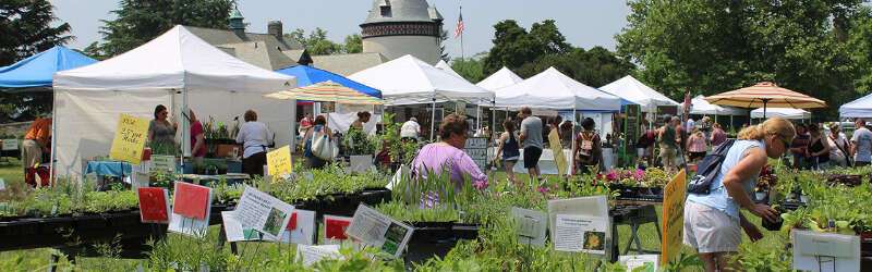 Herbs Galore More 2021 A Home And Garden Show In Richmond Virginia