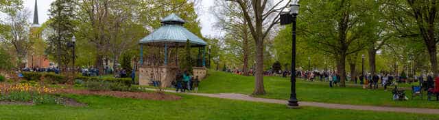 Springfield, MI - Festivals, Events, Art Shows, Film Festivals