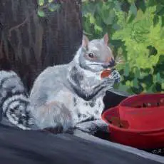 Painting : animals : Squirrel at feeder