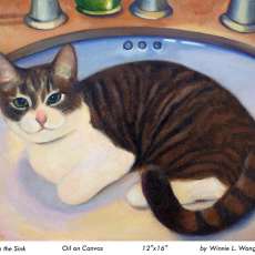 Cat in the Sink