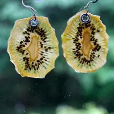 Kiwi real fruit earrings FREE SHIPPING