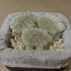 Sweetgrass Sheep Soap
