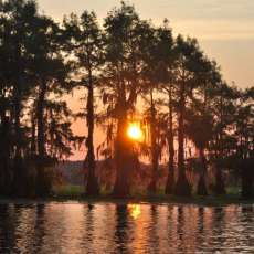 caddo lake sunrise