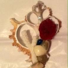Sea Shell Ornament, Assorted