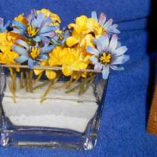 Blue and Yellow, very small arrangement