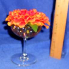 Vibrant Orange Flowers, Champagne Glass Vase