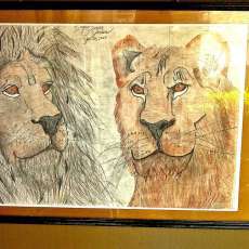 Lions Den in color [Framed]