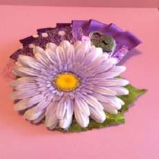 Lilac Gerber daisy