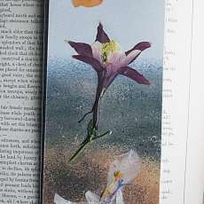 Columbine on hilltop pressed flower bookmark