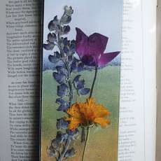 Lupine and purple cyclamen pressed flower bookmark