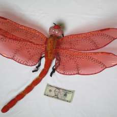 Large Orange Flame Skimmer Velvet Dragonfly, 31" wingspan