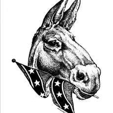 Confederate Mule