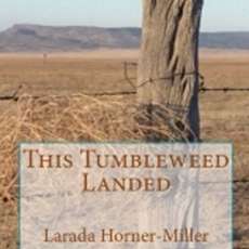 This Tumbleweed Landed