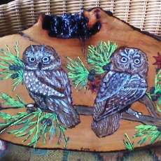 Handcrafted Woodburned Owls