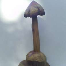 Carved wooden mushroom