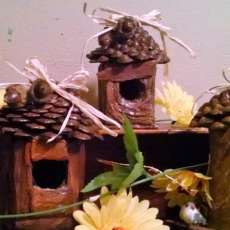 Pine cone Birdhouses - small - $15.00 - med- 18.00- large-25.00