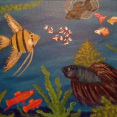 Aquatic Animals by Sid Korpi