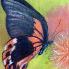 Butterfly Series #2