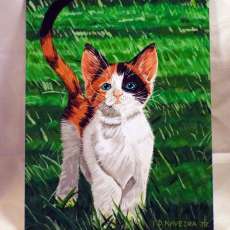 Acrylic painting by Daniel Naveira Jr.  Cat in the Field