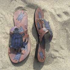 Handpainted Sandals (Turtle)