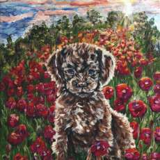 Puppy and Poppies