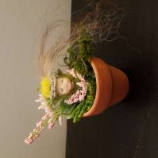 Baby flowerpot fairies