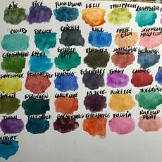 Aquanut Professional Handcrafted Watercolors 12 Half Pan Set -Custom Colors