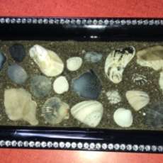 Black Jeweled Seashell Tray