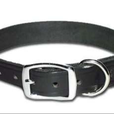 Black Latigo Leather (16") Dog Collar