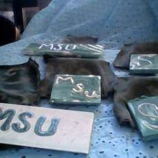msu plaques without magnets do have u of m also