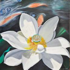 Lotus Blossom in stream w/fish